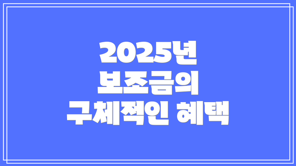 2025년 보조금의 구체적인 혜택