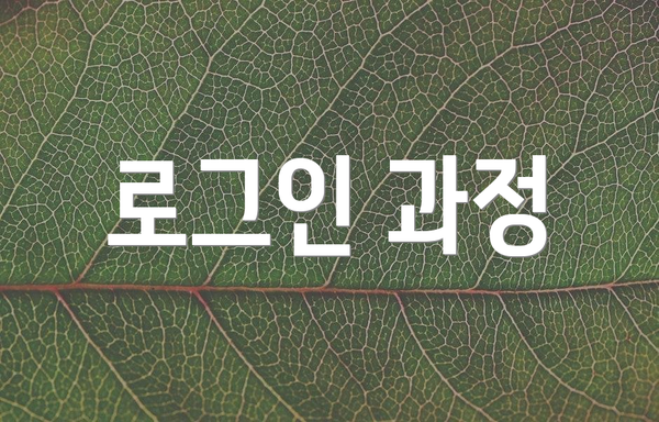 로그인 과정