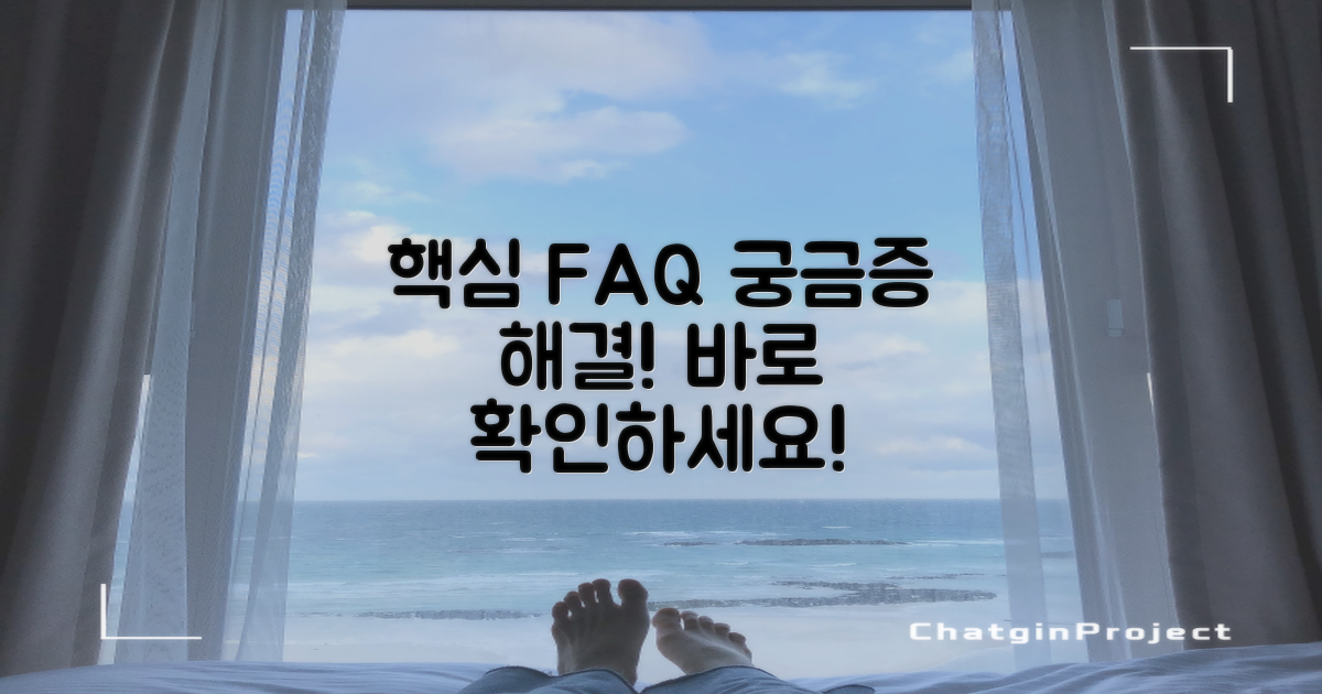 자주 묻는 질문