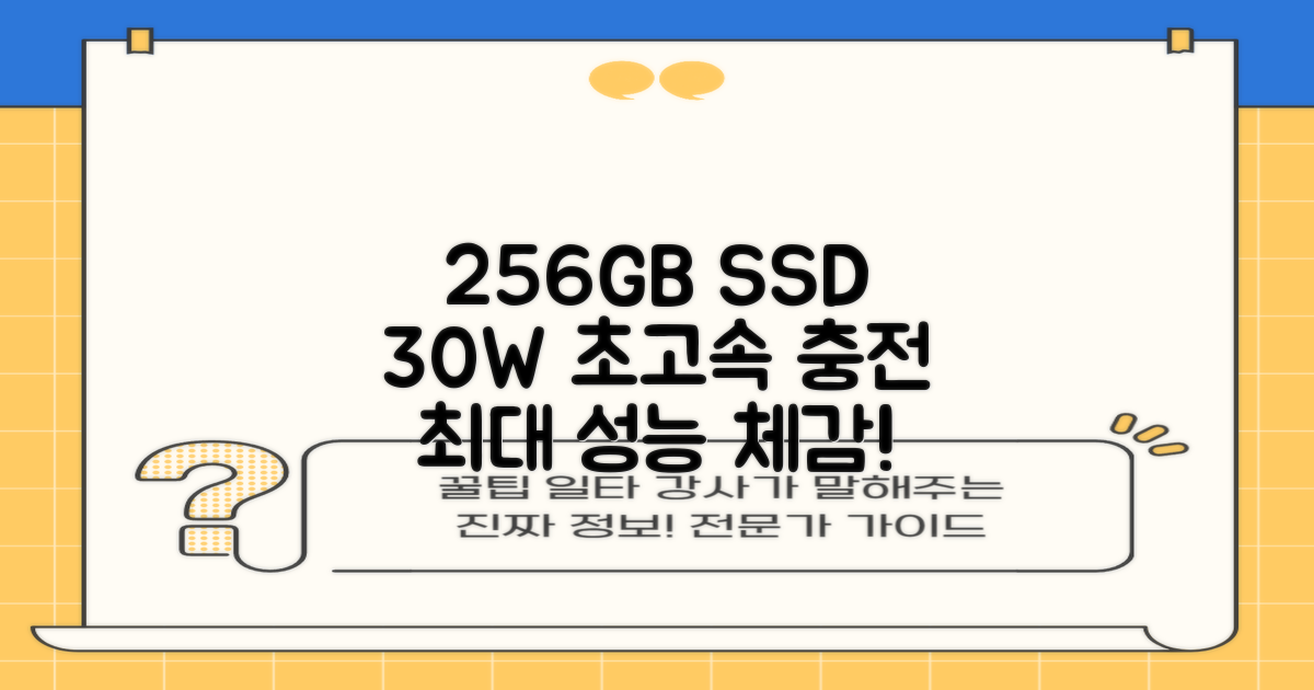 256GB SSD, 30W 충전 속도