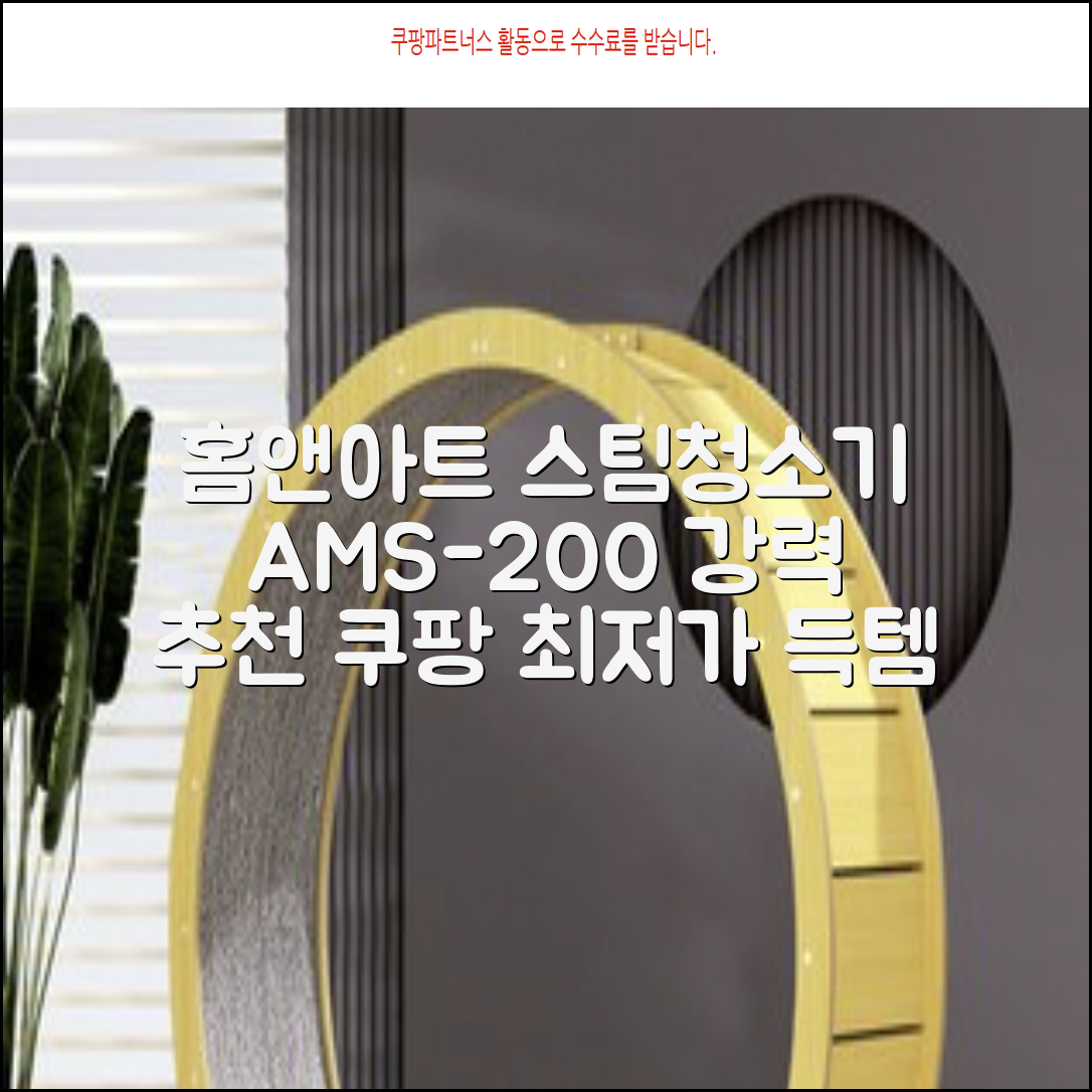 홈앤아트 퓨어 스팀청소기 AMS-200 추천 리뷰