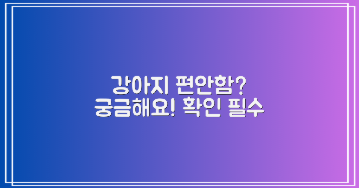우리 강아지가 편안해할까?