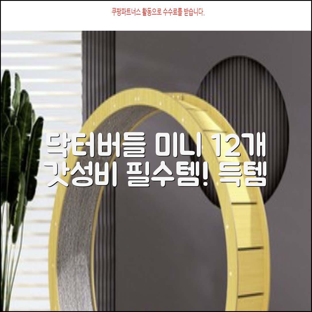 닥터버들 미니헤드 칫솔 세트, 12개입, 1개 추천 리뷰