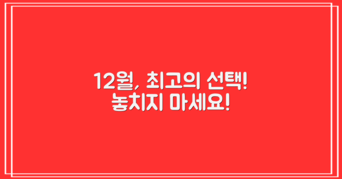 12월 최적의 선택