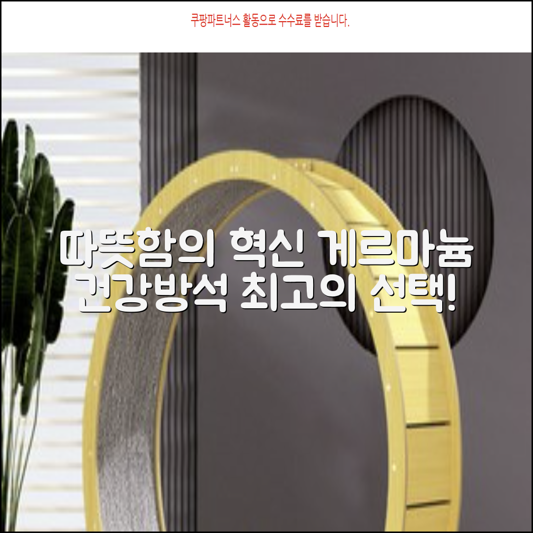 한일메디칼 GERMANIUM 게르마늄 온열 건강방석, 1인용 48X48mm, 1개 추천 리뷰