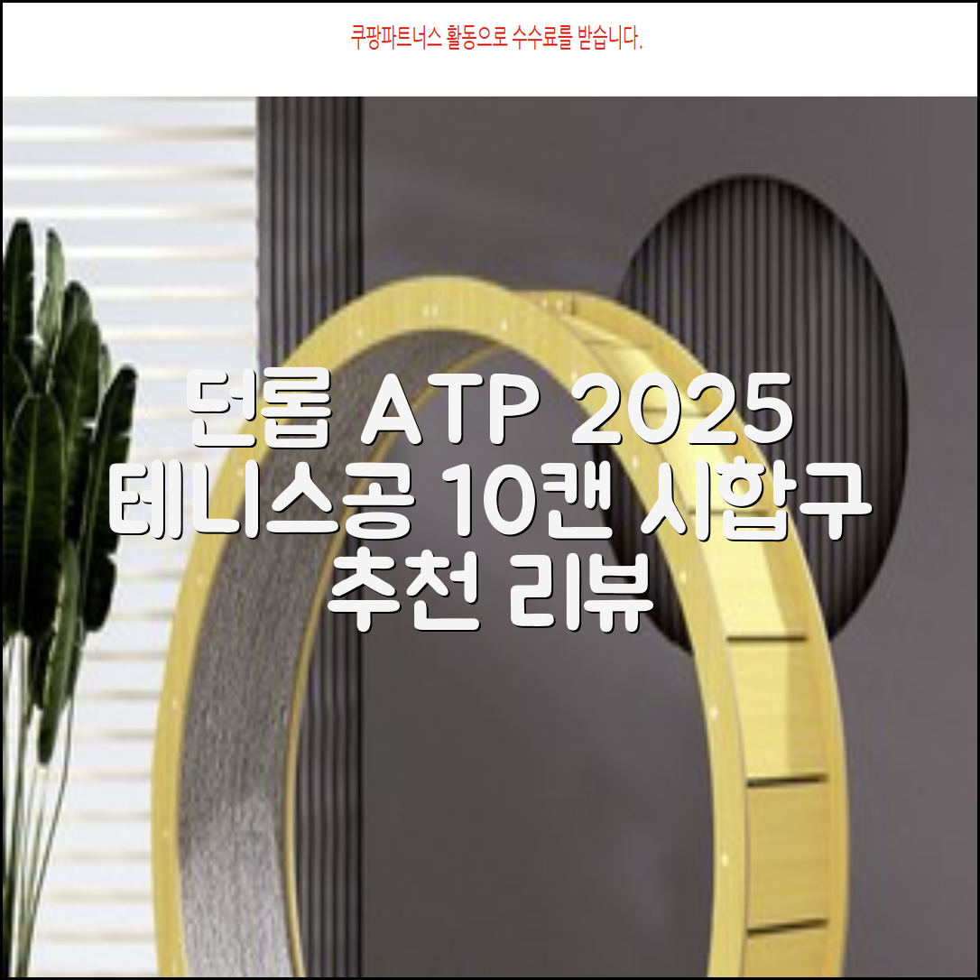 2025 던롭 ATP 테니스공 10캔 (20볼) 시합구, 던롭 ATP볼 10캔 (20볼), 10세트 추천 리뷰