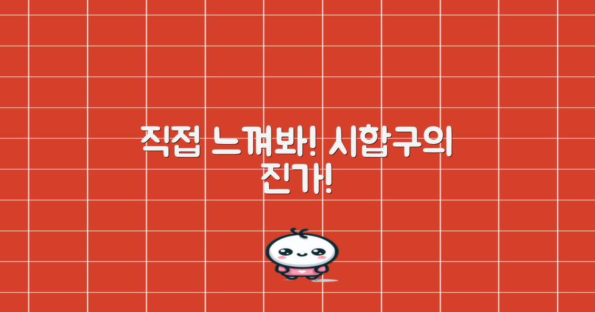시합구, 직접 느껴보세요.