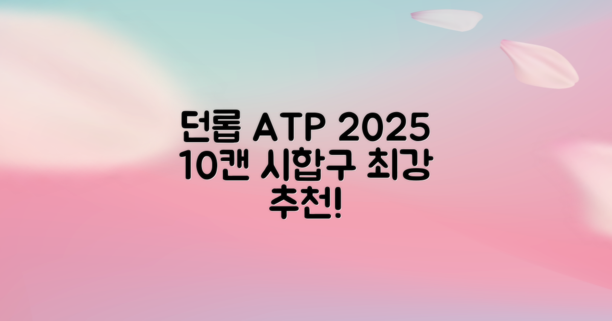 2025 던롭 ATP 테니스공 10캔 (20볼) 시합구, 던롭 ATP볼 10캔 (20볼), 10세트 추천 리뷰